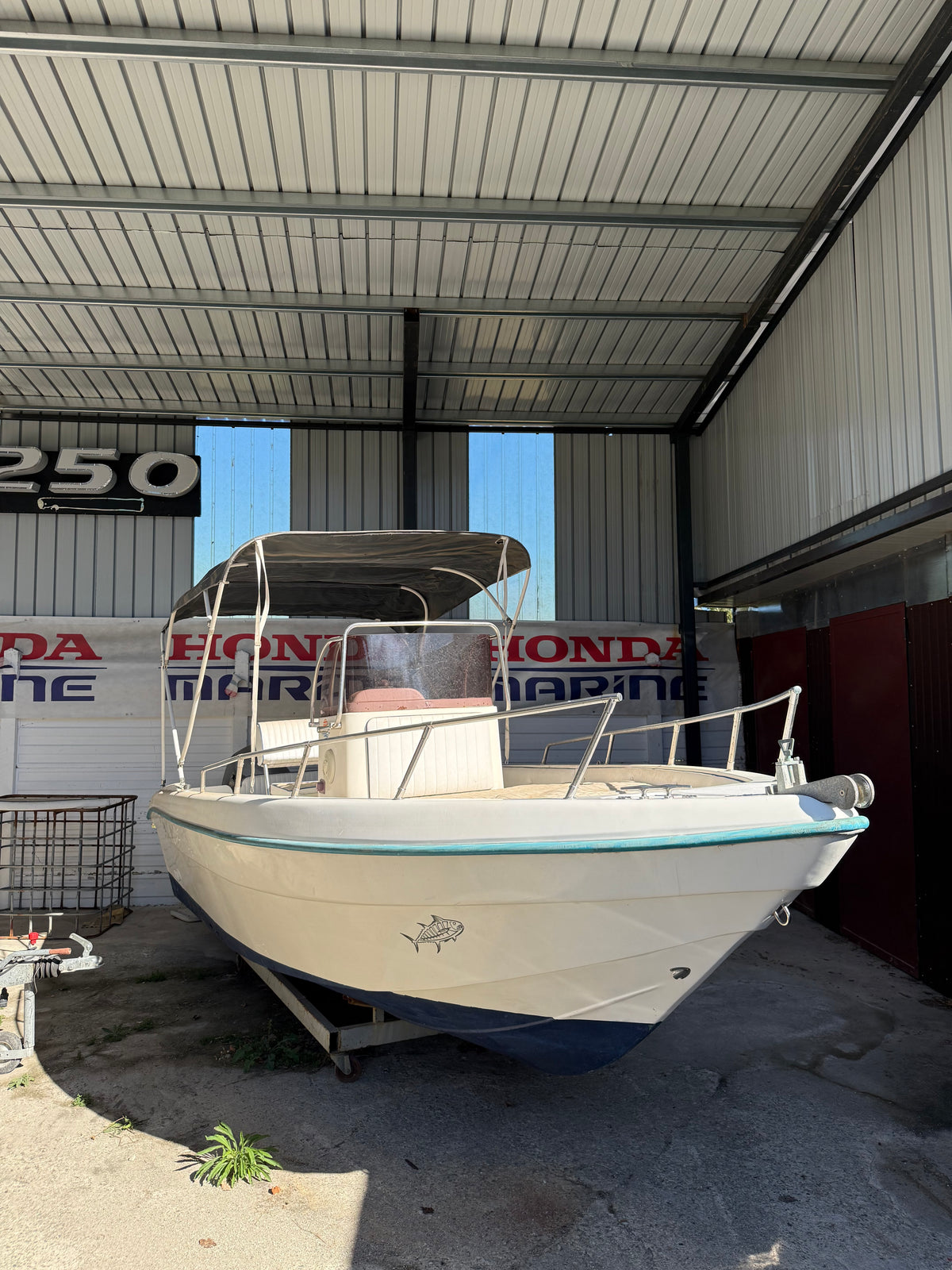 MEGAMAR 650 + HONDA BF90 CV