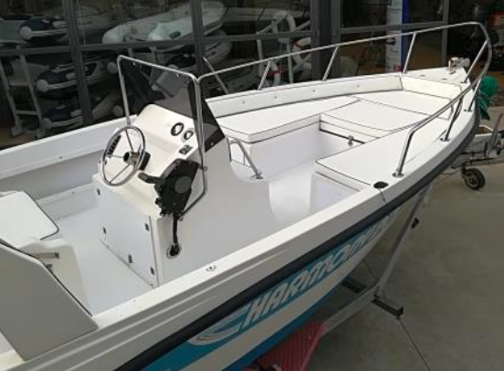 SAVER HARMONY 620 + HONDA BF40 E — immagine 2