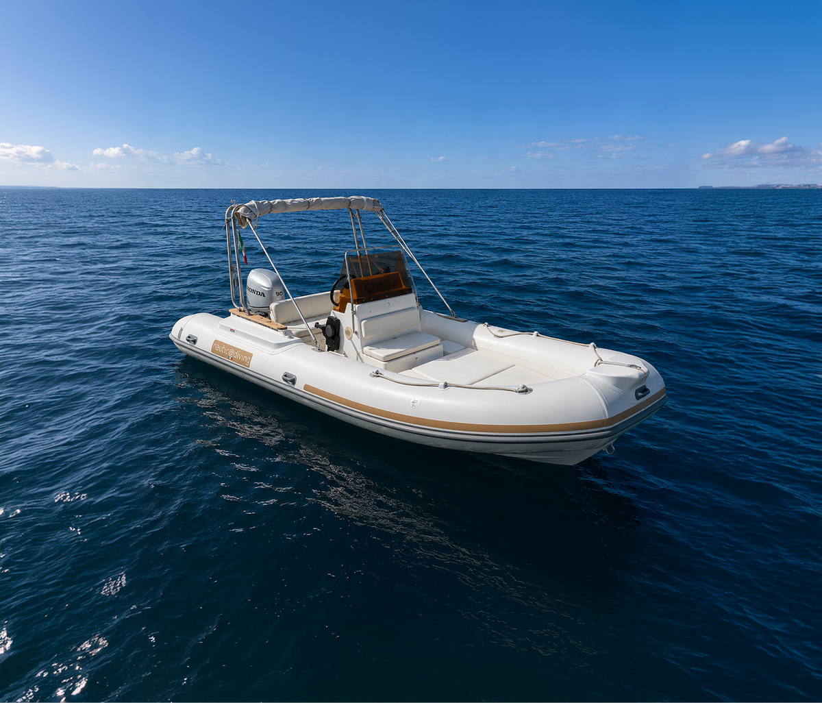 LOMAC 560 WITH HONDA BF40 AND
