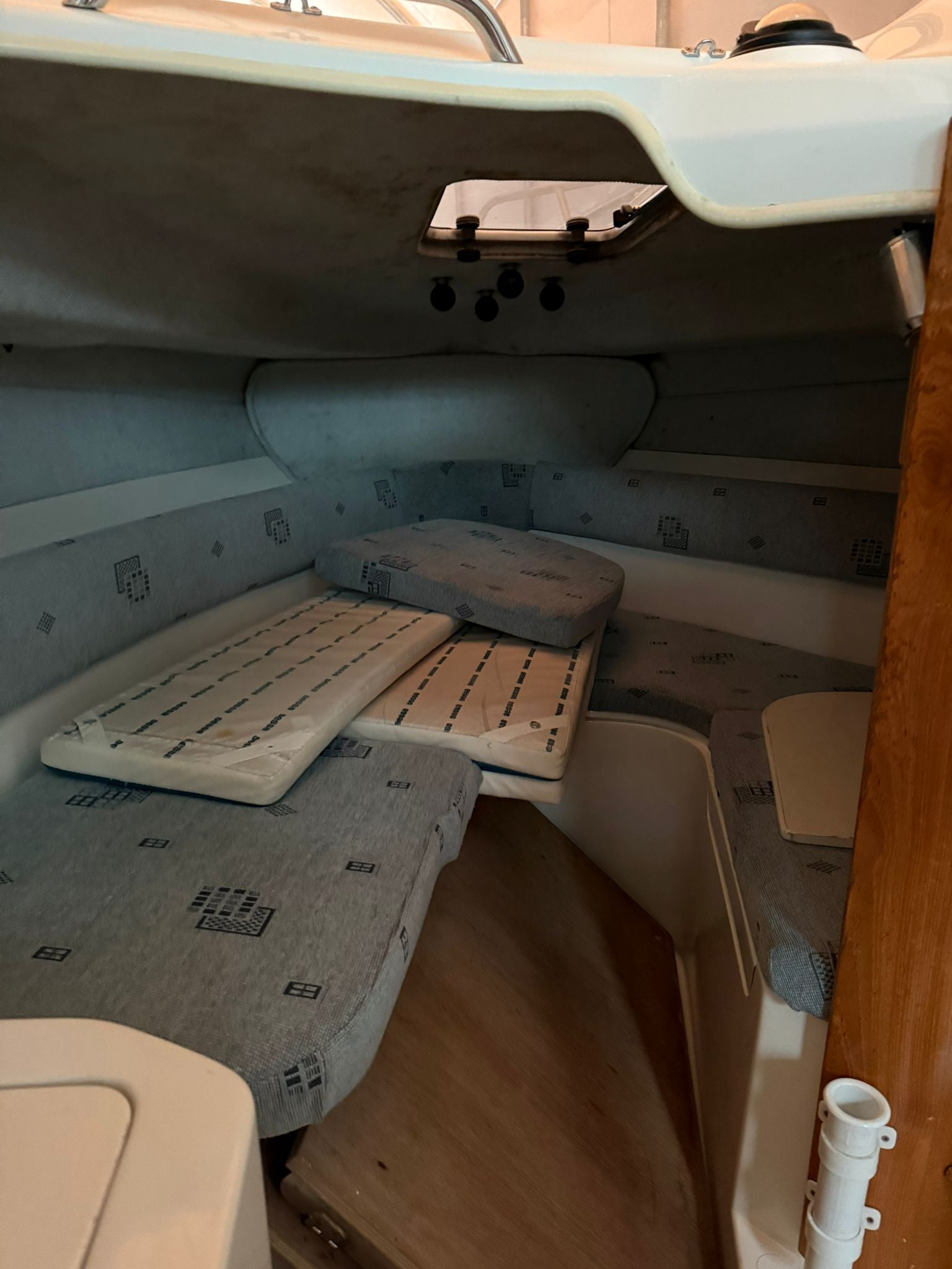 SESSA MARINE RAPALA 19′ + HONDA BF 100 CV — immagine 7